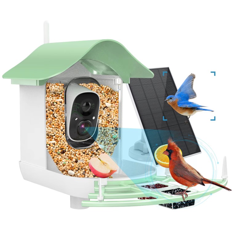 2026 App Video Auto Capture Ca - Smart Bird Feeder Camera reseña y precio