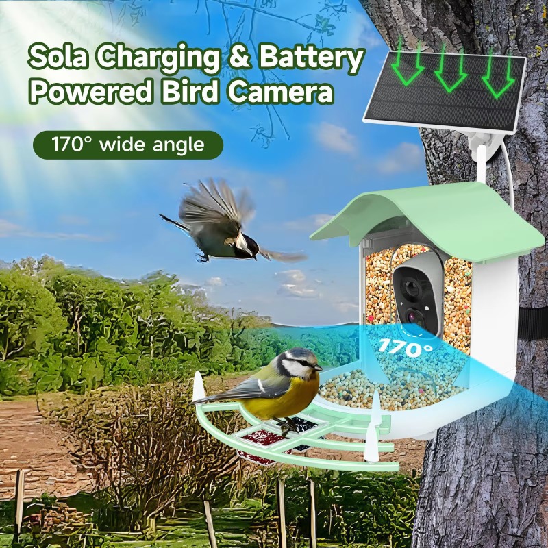 2026 App Video Auto Capture Ca - Smart Bird Feeder Camera reseña y precio