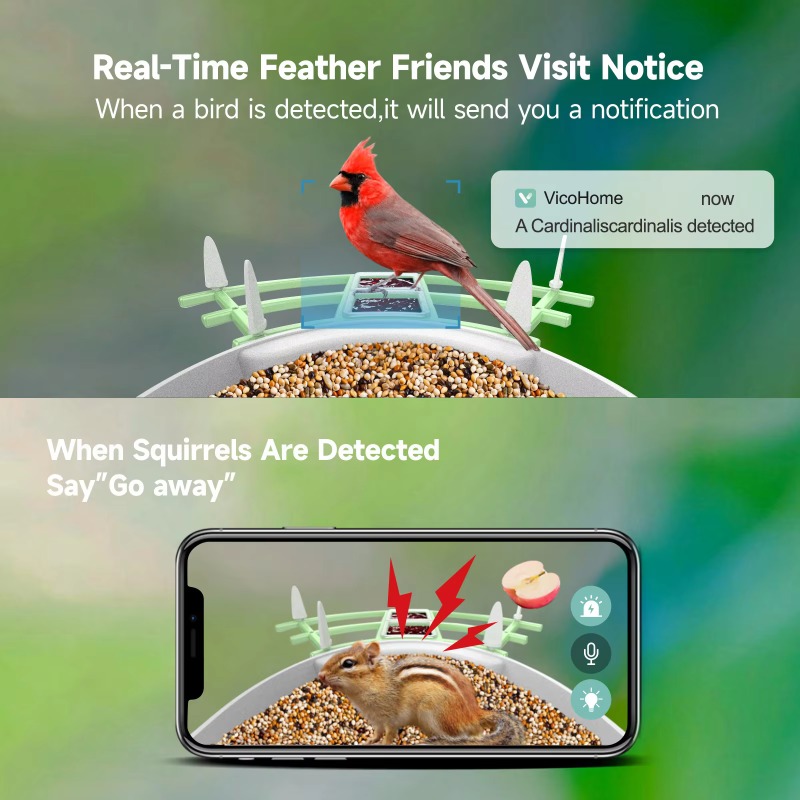 2026 App Video Auto Capture Ca - Smart Bird Feeder Camera reseña y precio
